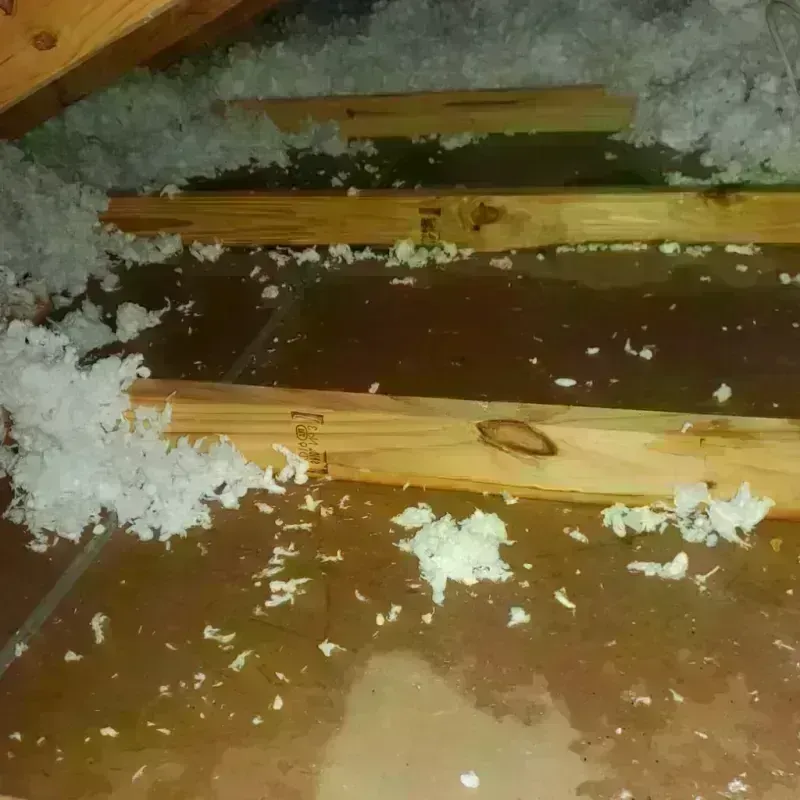 Attic Water Damage in Marshall County, OK