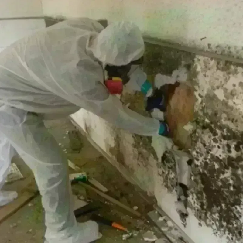 Mold Remediation and Removal in Marshall County, OK