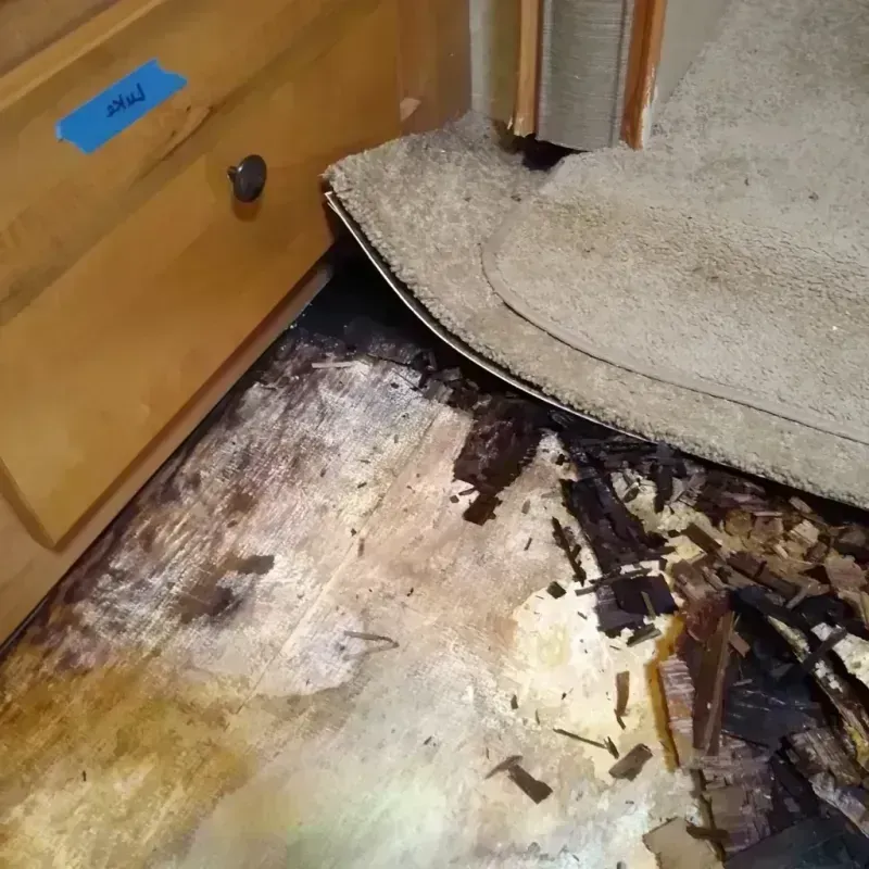 Best Wood Floor Water Damage Service in Marshall County, OK